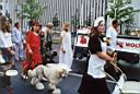23 - Poodlemania I.jpg